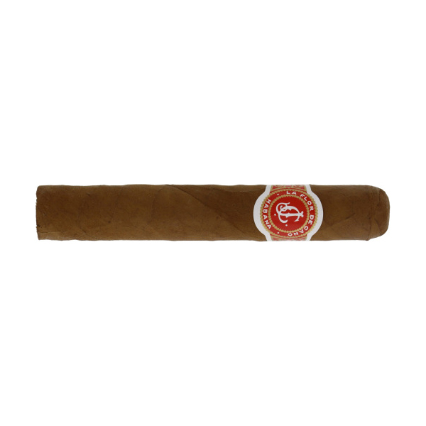 la flor de cano elegidos 拉弗洛爾．德卡諾 精選