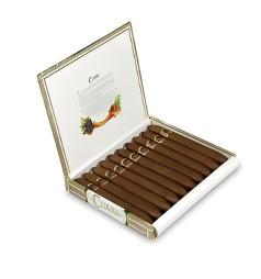 cuaba salomones 庫阿巴所羅門