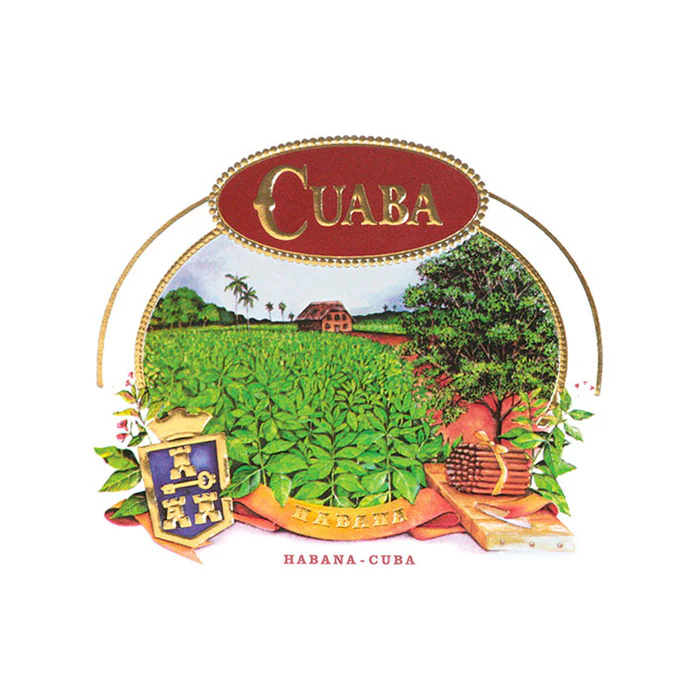 cuaba salomones 10 tpd2.jpg